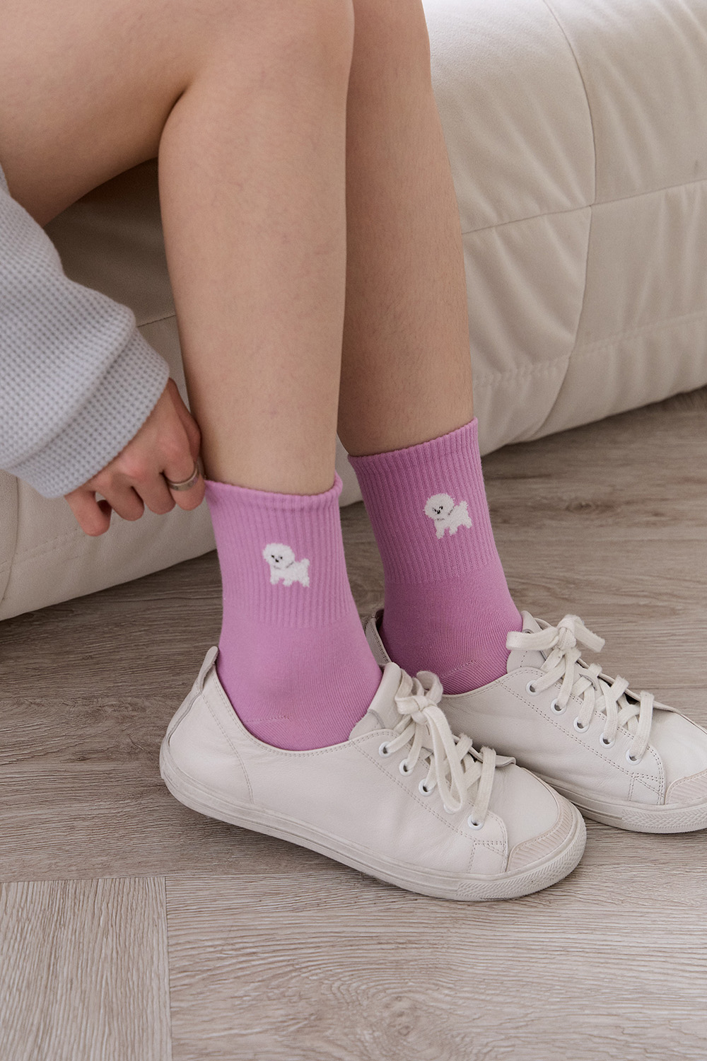 萌寵集合 彩色中筒襪