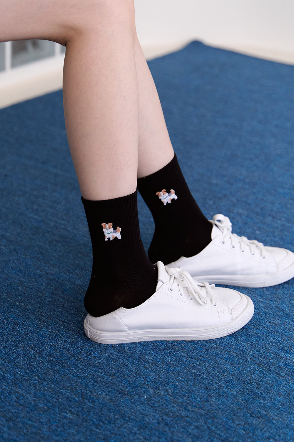 萌寵集合 彩色中筒襪